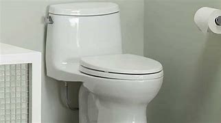 Image result for Half Flush Toilet