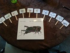 Image result for Cricket Insect Pre-K Activities