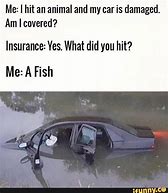 Image result for Auto Insurance Memes