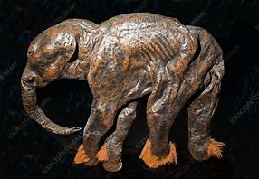 Image result for A Mummified Baby