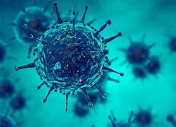 Image result for infeccios0