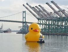 Image result for Rubber Duck Largest One in Maryland
