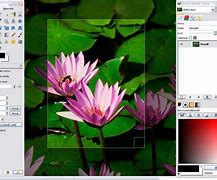 Image result for Screen Shot Windows 11
