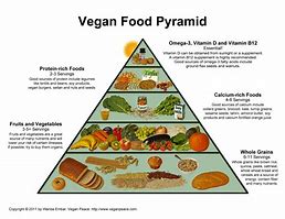Image result for Children Vegan Food Pyramid