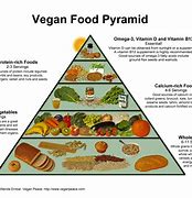 Image result for Vegan Pyramid