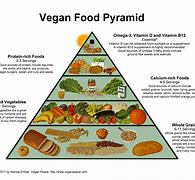 Image result for The Real Vegan Food Pyramid
