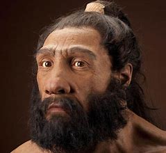 Image result for Uomo Di Neanderthal