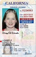 Image result for Wisconsin Drivers License Template