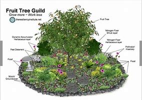 Image result for Permaculture Layers