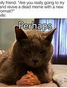 Image result for Cat Revive Meme