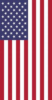 Image result for United States Flag Vertical