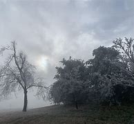 Image result for Freezing Fog