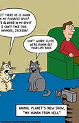 Image result for Cartoon Cat Memes