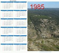 Image result for Year 1985