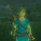 Image result for Zelda Age of Calaminty Link Outfits