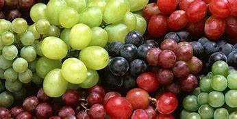 Image result for Sun-Dried Grape Itilian Wine CYMA