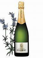 Image result for Champagne Guillemniot Bottle Label
