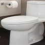Image result for One Piece Toilet