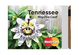 Image result for Tennessee Way to Go Card