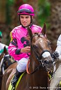 Image result for Thoroughbred Race Horse Racing