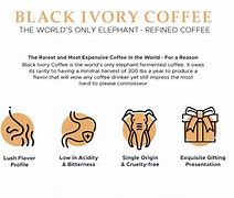 Image result for Black Ivory Coffee Beans