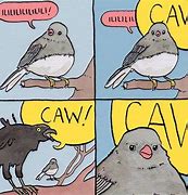 Image result for Pigeon and Crow Meme