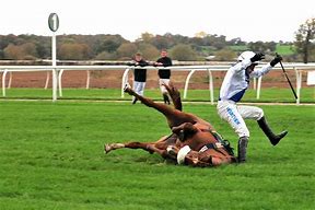 Image result for Horse Racing Falls