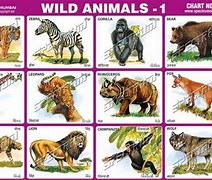 Image result for 5 Wild Animals in Hindi