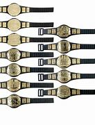 Image result for WWE Championship Belt Toy