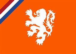 Image result for Netherlands Orange Flag