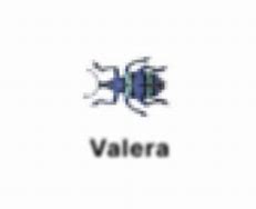 Image result for Valera Valera Spore Meme