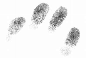 Image result for White Areas in a Fingerprint