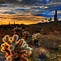 Image result for Arizona Cactus Desert Sunrise Wallpaper