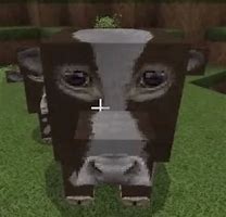 Image result for Minecraft Cow Modpack Meme