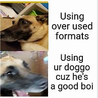 Image result for Good Boi Doggo Meme
