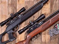 Image result for Carabine Plomb 1500