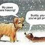 Image result for Cartoon Dog Christmas Jokes