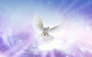 Image result for Holy Spirit Descending Dove