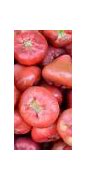 Image result for Ooty Apple Fruit