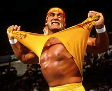 Image result for WWE Next Hulk Hogan