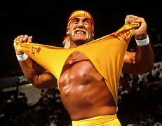 Image result for WWE Hollywood Hulk Hogan