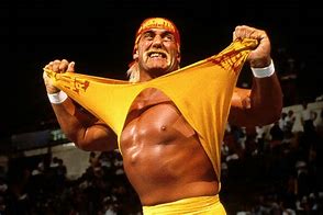 Image result for WWF Wrestling Hulk Hogan