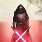 Image result for Amazing Star Wars Cosplay