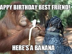 Image result for Happy Birthday Meme to Send to Friend
