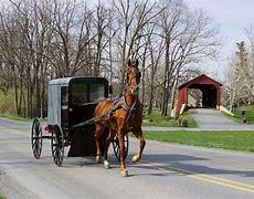Image result for Things to Do in Lancaster PA