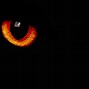 Image result for Blinking Eyes Black Background