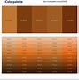 Image result for Rose Gold vs Copper Color
