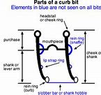 Image result for Pelham Bit with Curb Chain