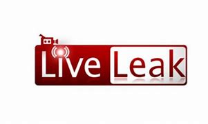 Image result for Greenscreen Liveleak Logo