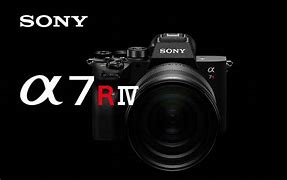 Image result for Sony Alpha 7R Samples IV